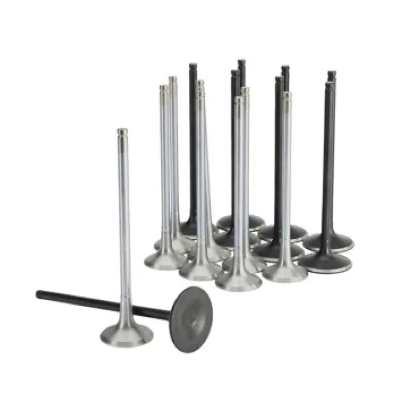 Skunk2 Honda K20c1 Alpha Series Intake & Exhaust Valve Set (Standard Compression) 1