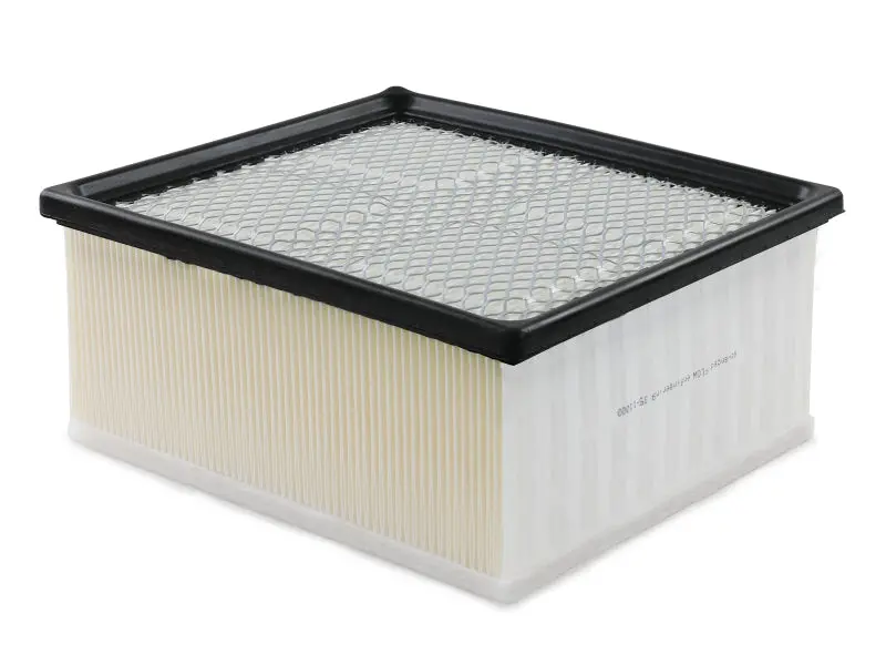 Afe Power 07-24 Dodge/Ram Diesel Trucks L6-6.7L (Td) Proguard Oe Replacement Air Filter 1