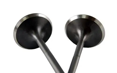 Blox Racing High Compression Intake Valve Set For Honda F20c (Set Of 8) 1