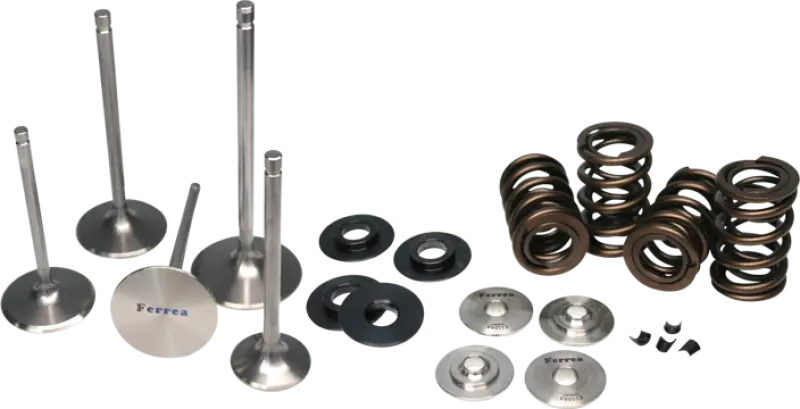 Ferrea 09-13 Vw 2.0T Tsi / 15-16 Vw Golf R 2.0T Tsi Single Spring Kit 1