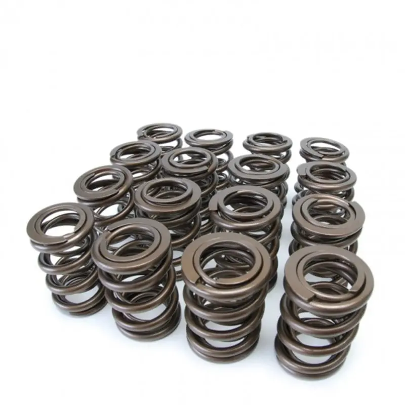 Skunk2 Tuner Series Honda/Acura (B16a/ B17a/ B18c) Dohc Vtec Alpha Valve Spring Set (Dual Springs) 1