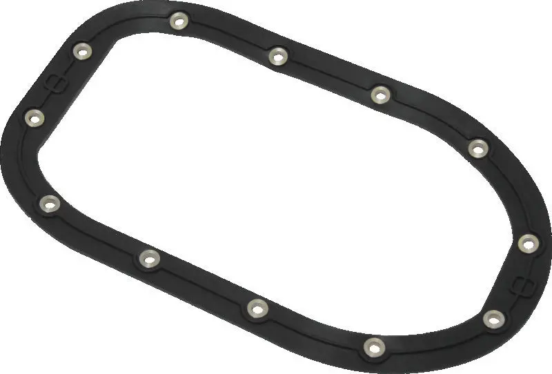Twin Power 06-17 Dyna Models Fuel Pump Plate Seal Viton Replaces H-D 75248-04 1