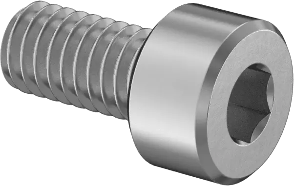 Replacement Socket Screws For Prl Maf Housing (Pair) 1