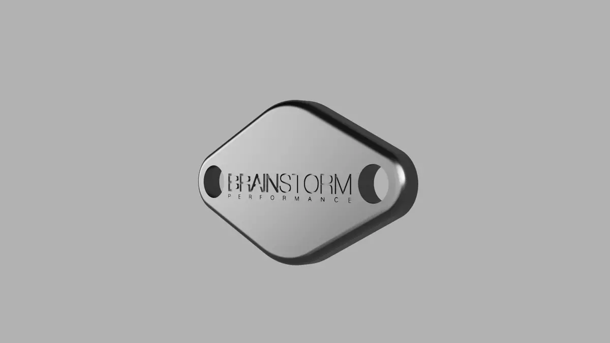 Exhaust Manifold Air Injection Cover Plate 1