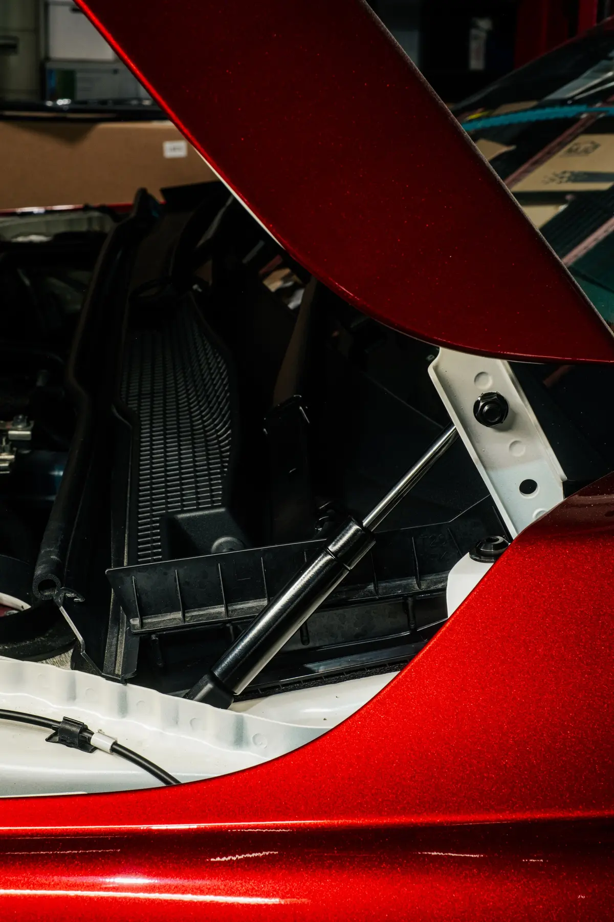 Wot Performance Hood Struts For 2017+ Honda Civic/Integra [Fk/Fe/Fl/De] 1
