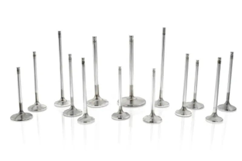 Ferrea Toyota G16e-Gts 32.8Mm Head 5.47Mm Stem Dia Competition Plus Intake Valve - Set Of 6 1