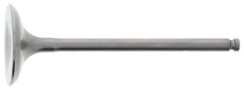 Hot Cams 1996-2000,2002,2004,2007 Polaris Sportsman 500 4X4 500Cc Steel Intake Valve 1
