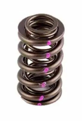 Afr Replacement Valve Spring Set – High-Performance, 8019-16 1